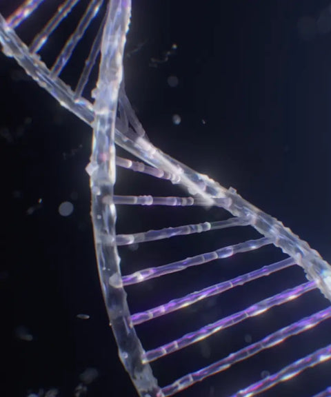 A 3D-rendered DNA strand glowing with light against a dark background, representing innovation in technology and genetic research