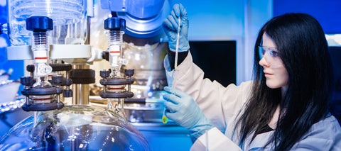 A Complete Guide to What Bioreactors Are and How They Work