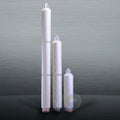 PureFlo Z-Series Cartridge - MZZS2071S1-5 (Pharmaceutical Grade)